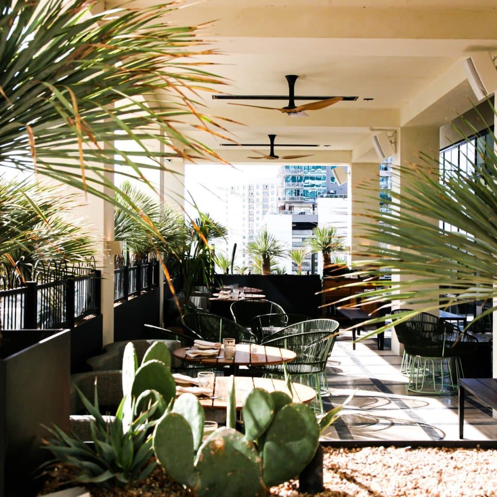 Rooftop restaurant with green plants and modern dining area in a city setting